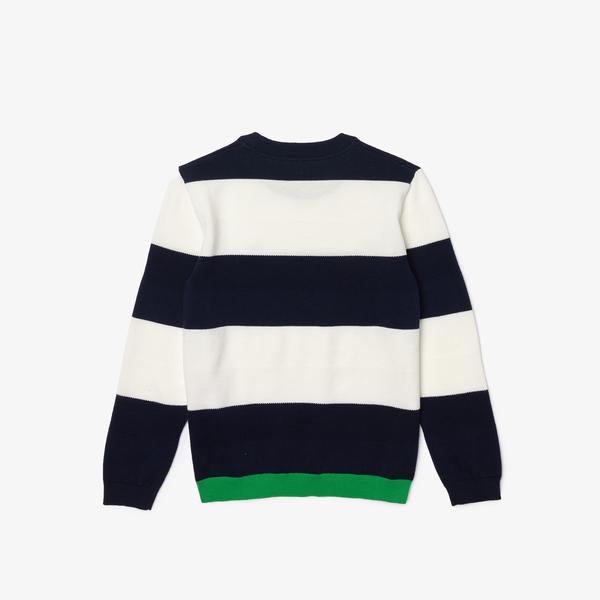 Lacoste Boys’ Crew Neck Striped Cotton Blend Sweater
